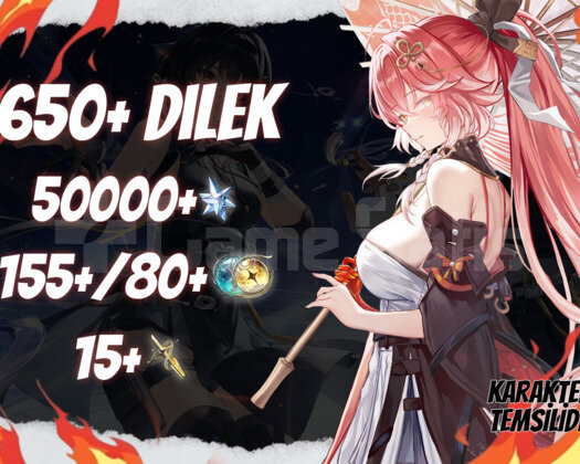 EU | UL35+ 650+ Dilek - 50000 Astrite 155/80/15