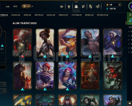 +2000 Level +900 Skin