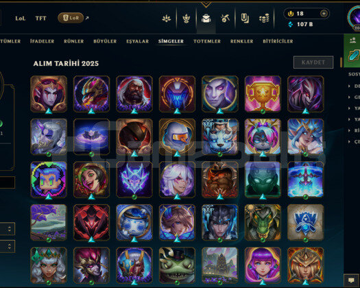 +2000 Level +900 Skin