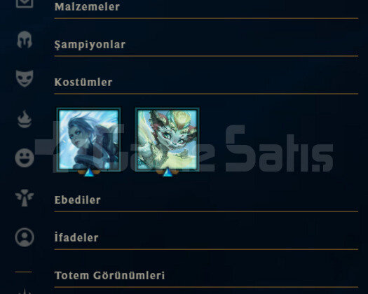1 YILLIK / 30 LEVEL UNRANKED / ANINDA TESLİMAT