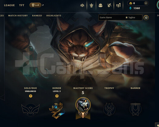 TR Unranked | 2 Kostüm - 24 Hero | LoL Hesap