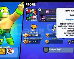 brawls stars 14089 kupa 127 deneyim seviyeli hesap