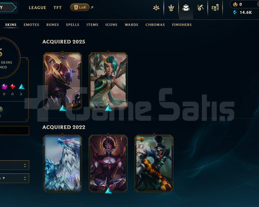 TR Unranked | 5 Kostüm - 14K Mö | LoL Hesap