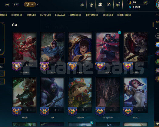 EFE BEY ÖZEL İLAN 500+ KOSTUM LOL