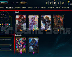 390 LEVEL / 339 SKIN / FULL HERO / +MAIL / +TEL