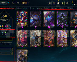 425 LEVEL / 350 SKIN / FULL HERO / +MAIL / +TEL