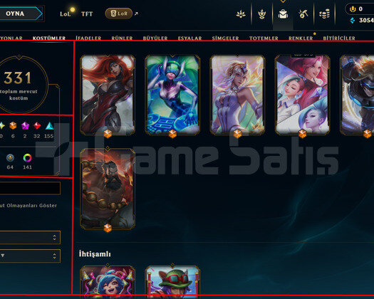 476 LEVEL / 331 SKIN / FULL HERO / +MAIL / +TEL