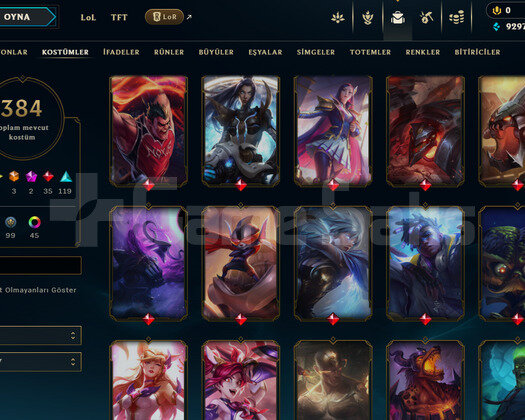 173 LEVEL / 384 SKIN / FULL HERO / +MAIL / +TEL
