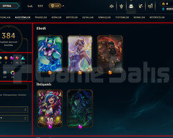 173 LEVEL / 384 SKIN / FULL HERO / +MAIL / +TEL