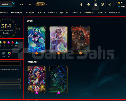 173 LEVEL / 384 SKIN / FULL HERO / +MAIL / +TEL