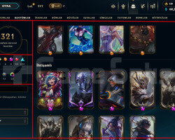 483 LEVEL / 321 SKIN / FULL HERO / +MAIL / +TEL