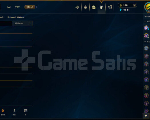 TR PLAT 3  317 SEVİYE  HESAP