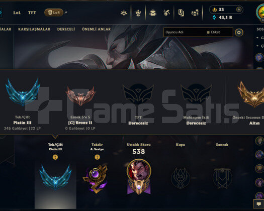 TR PLAT 3  317 SEVİYE  HESAP