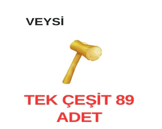 89 TOKMAK