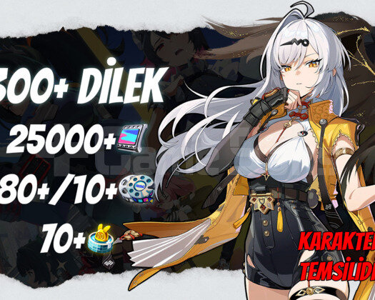 EU | IK30+ 300+ Dilek - 25000 Polychrome 80 10