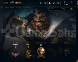 EUW Bronz 2 | 5 Kostüm - 37 Hero | LoL Hesap