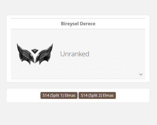 GEÇEN SEZON ELMAS / DERECELİ HAZIR / 43 LEVEL