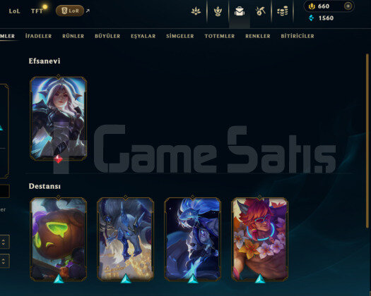 DERECELİ HAZIR / KALİTELİ KOSTÜMLER / 660 RP