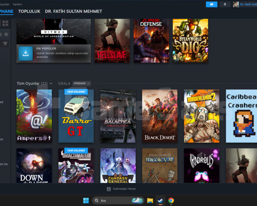 CS PRELİ 22 OYUNLU STEAM HESABI
