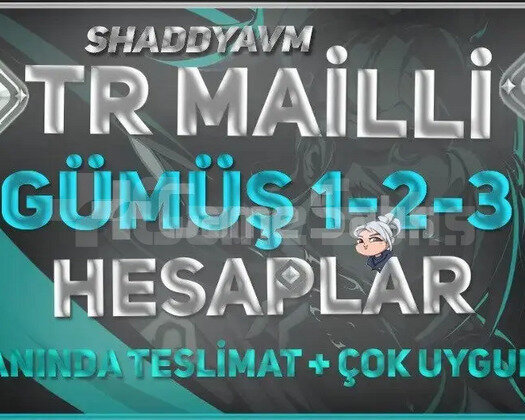 MAİL DEĞİŞEN - SİLVER HESAPLAR - TR ANINDA TESLİM!