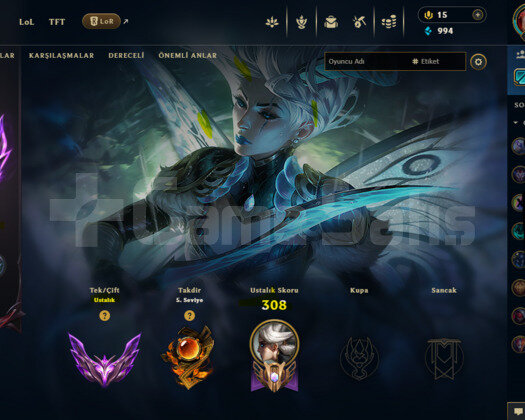 CHALLENGERDEN ERİME MASTER HESAP