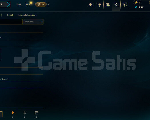 TR DEMİR 3 / 0LP / S12 HESABI