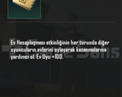 Ev oyu 600 adet