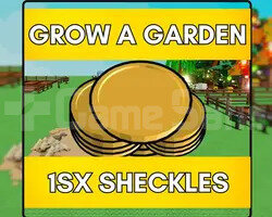1sx Sheckles Hızlı Teslimat