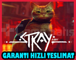 Stray + Garanti