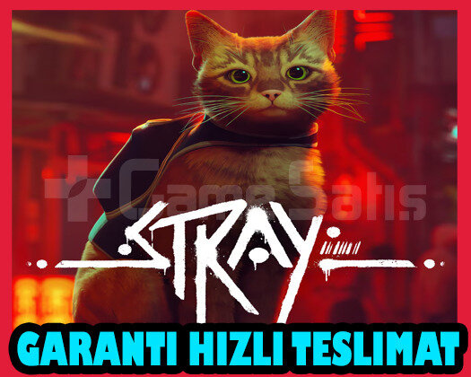Stray + Garanti