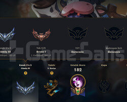 TR BRONZ 1 MAİL DEĞİŞEN 11SKIN 59 HERO HANDMADE