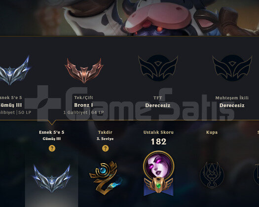 TR BRONZ 1 MAİL DEĞİŞEN  11SKIN 59 HERO HANDMADE