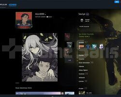 FIRSAT HESAB STEAM LEVELİ 63