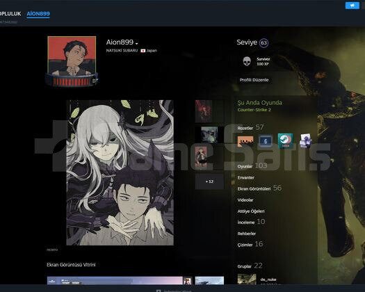 FIRSAT HESAB STEAM LEVELİ 63