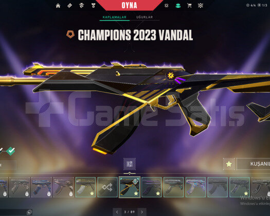 RGX PRO KARAMBİT VE KELEBEK/CHAMPIONS MAİL HESAP