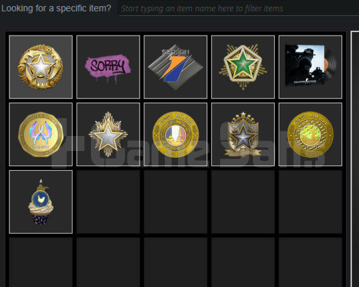 9 MADALYALI FACEİT 10 LEVEL PREMİER 15K MAİN ACC