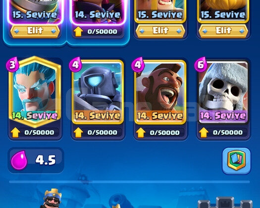 Sağlam 9200 kupa hesap