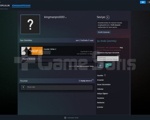2003 Kurulumlu Steam Hesabı  Koleksiyonluk