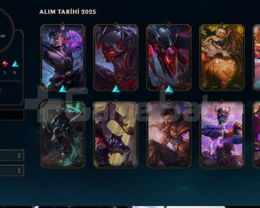 GM DEN ERİME MASTER 300 LP HESAP
