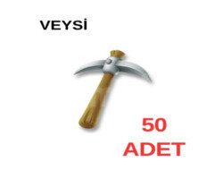 ANINDA 50 kazma