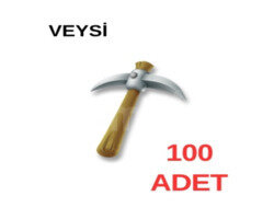ANINDA 100 kazma