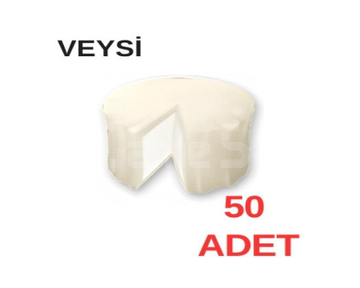 ANINDA 50 keçi peyniri