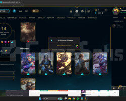 EUW 70 WR ZÜMRÜT 3 90LP HANDMADE 14 KOSTÜMLÜ HESAP