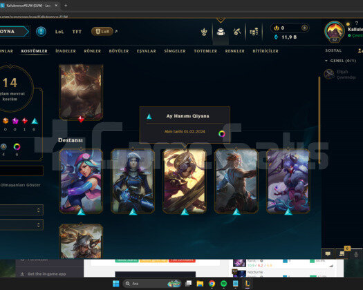 EUW 70 WR ZÜMRÜT 3 90LP HANDMADE 14 KOSTÜMLÜ HESAP