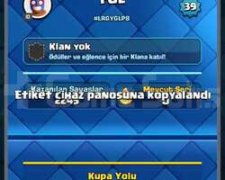7500 KUPA 39 SEVİYE 116 KART 1 EVRİM 11 MAX KART
