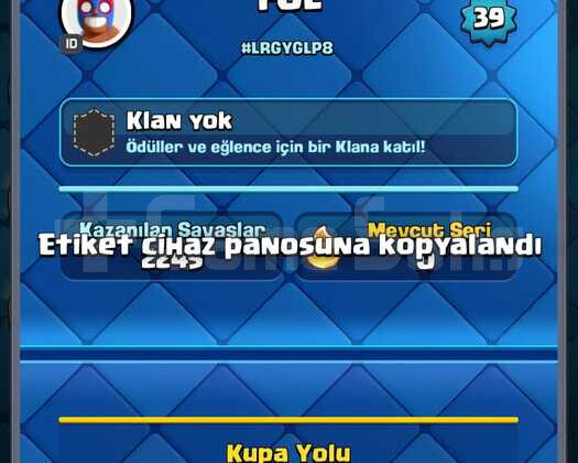7500 KUPA 39 SEVİYE 116 KART 1 EVRİM 11 MAX KART