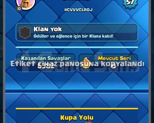15000 KUPA 57 SEVİYE 120 KART 23 EVRİM 13 ELİT
