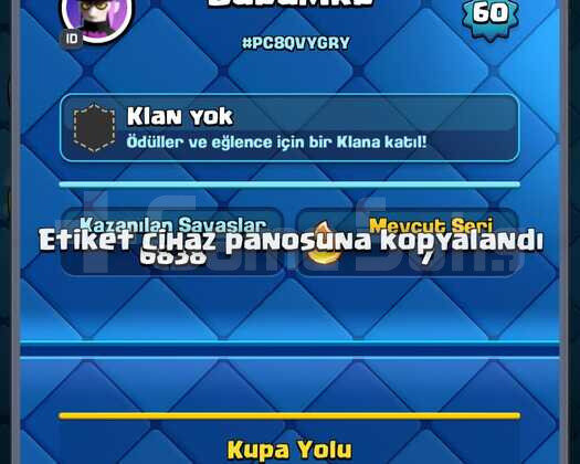 9800 KUPA 60 SEVİYE 16 EVRİM 24 ELİT KART
