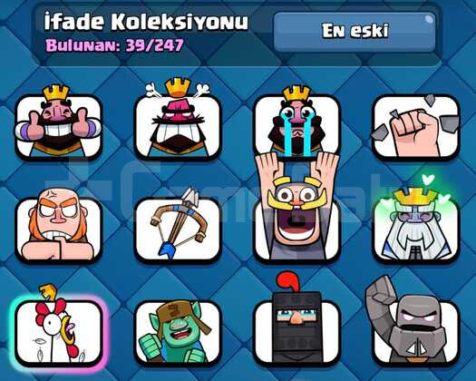 8100 KUPA 41 SEVİYE 5 EVRİM  5 MAX KART