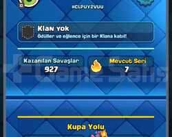 8100 KUPA 41 SEVİYE 5 EVRİM 5 MAX KART